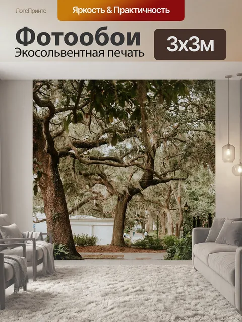 Фотообои Деревья
