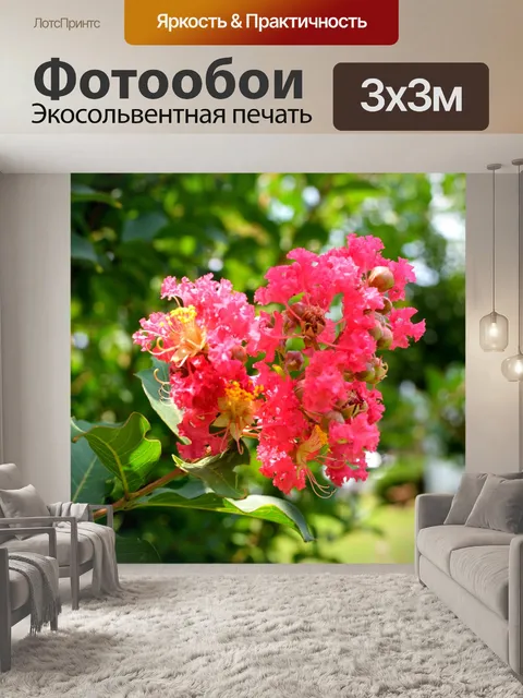 Фотообои Креп мирт цветок