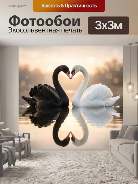 Фотообои Черный и белый лебеди