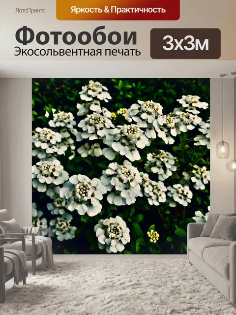 Фотообои Candytuft
