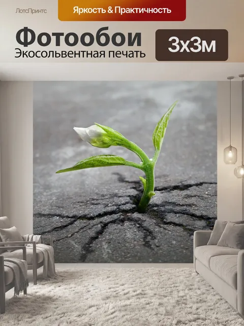 Фотообои Рассада Выживание