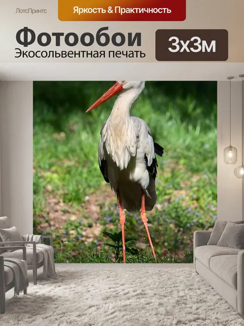 Фотообои Аист