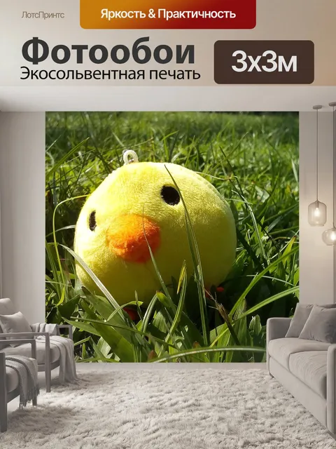 Фотообои Птица