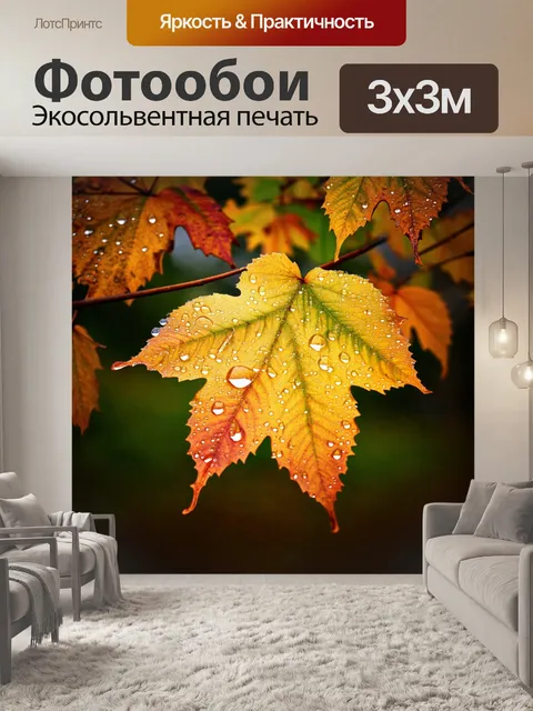 Фотообои природа в стиле капельное искусство, показывающие цветные осенние листья, покрытые каплями утреннего роса