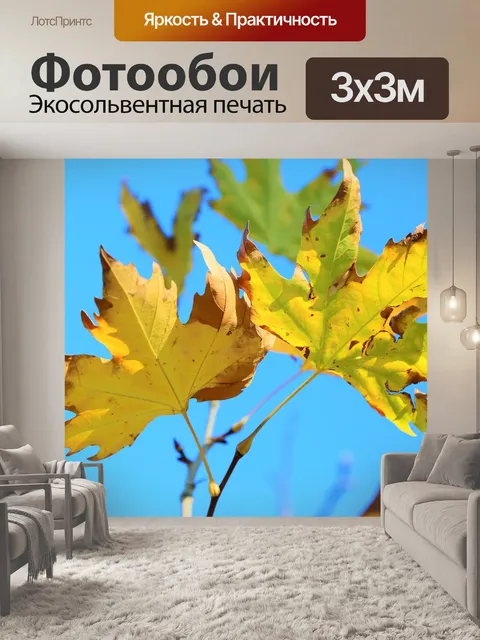 Фотообои Лист