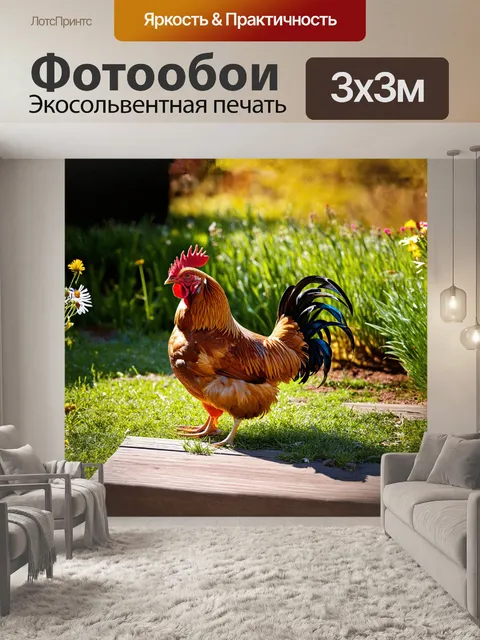 Фотообои петух с великолепными перьями, сидящий на деревянной лужайке, освещенной мягким рассеянным светом