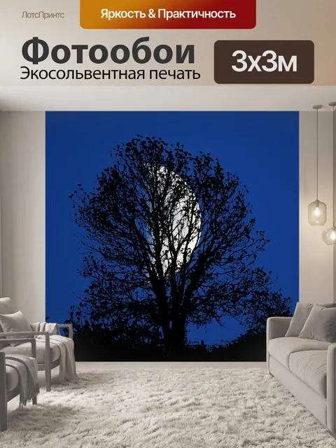 Фотообои Ночь