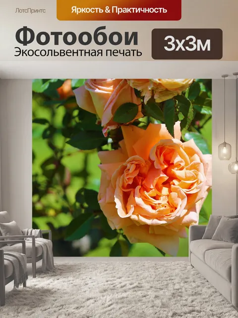 Фотообои Розы