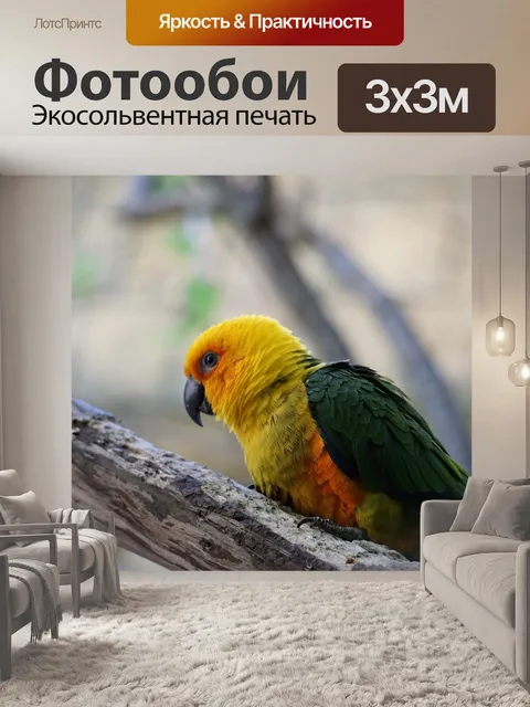 Фотообои Попугаи