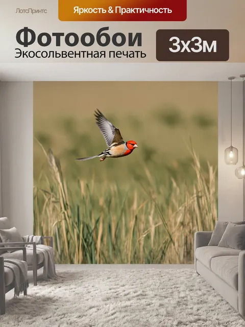 Фотообои зебровая амадина в полете над открытой саванной, где высокие травы колышутся на ветру