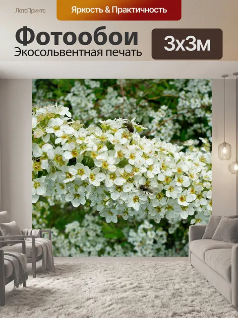 Фотообои Цветы