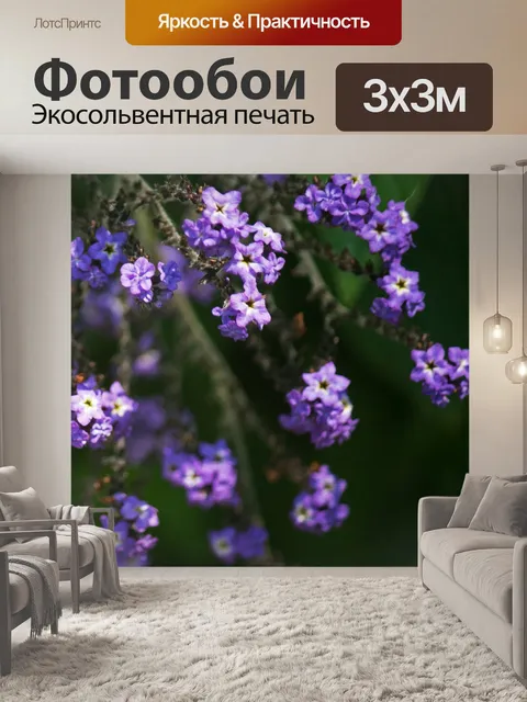 Фотообои фиолетовые гелиотропные цветы на кусте