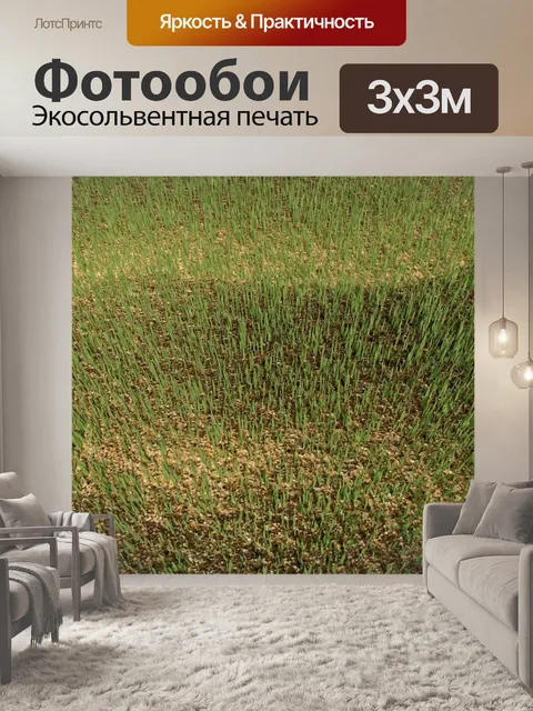 Фотообои Трава