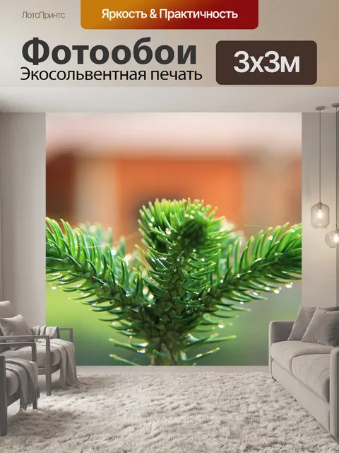Фотообои Многоуровневое