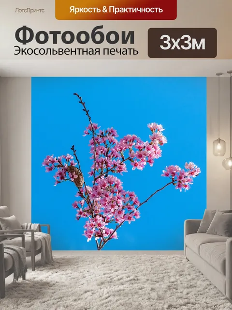 Фотообои Персиковый цвет