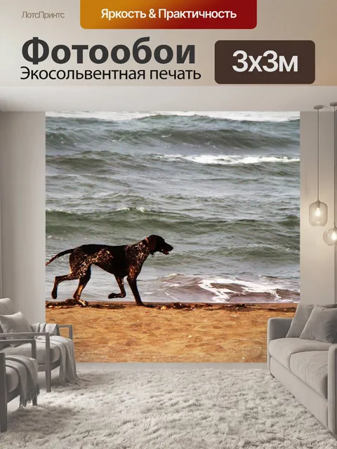 Фотообои Собака
