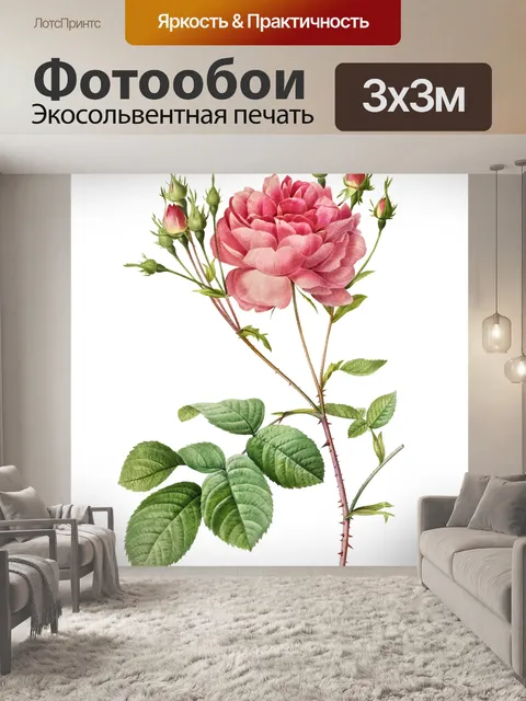 Фотообои Клипарт Rose flower vintage