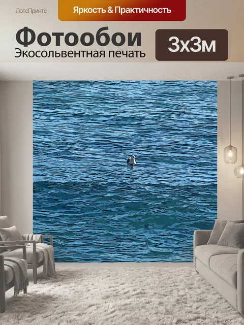 Фотообои Чайка