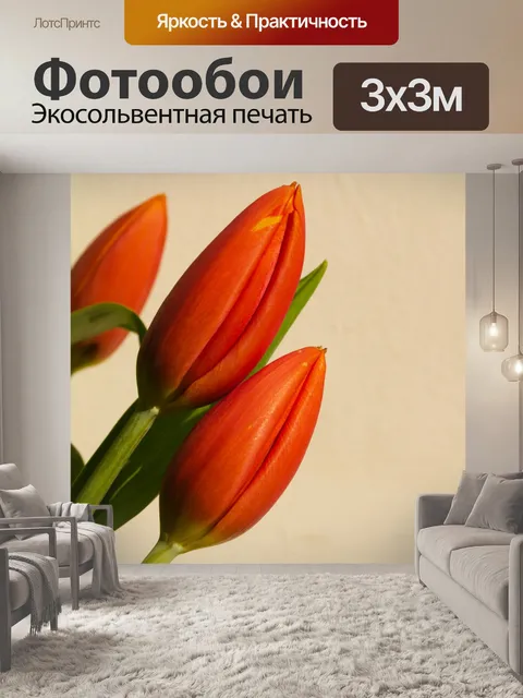 Фотообои Цветок