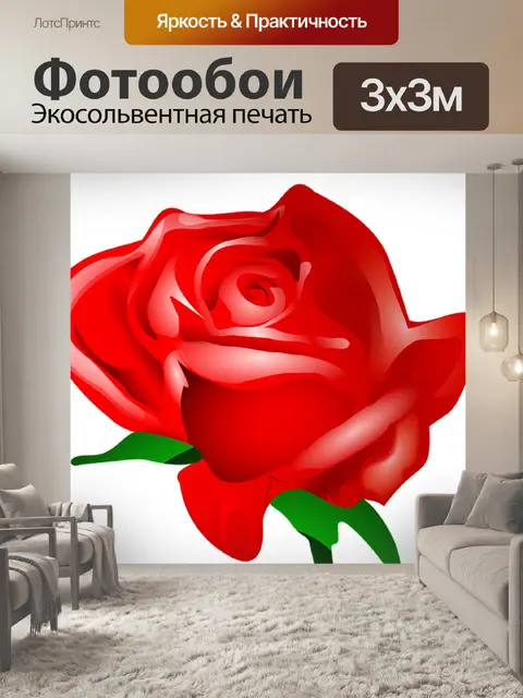 Фотообои Роза