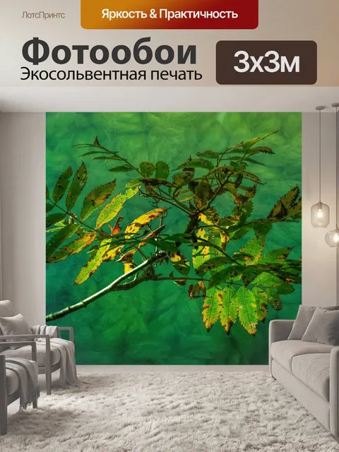 Фотообои Дерево