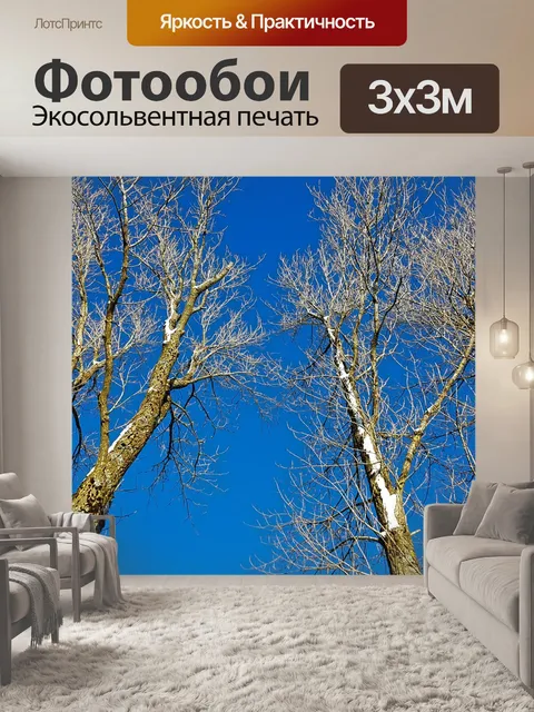 Фотообои Деревья