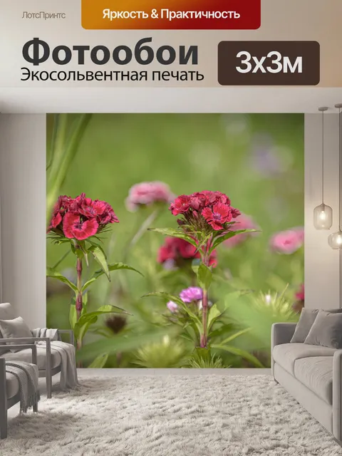 Фотообои Луг