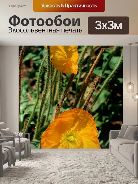 Фотообои Цветы