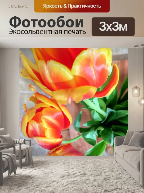Фотообои Тюльпаны