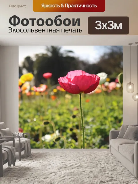 Фотообои Маки