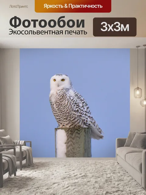 Фотообои Птица