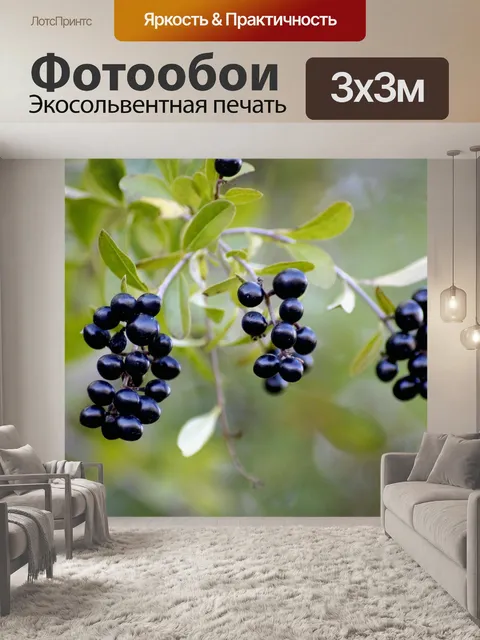 Фотообои Ягода