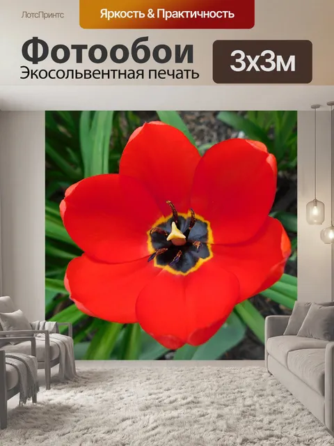 Фотообои Вершина