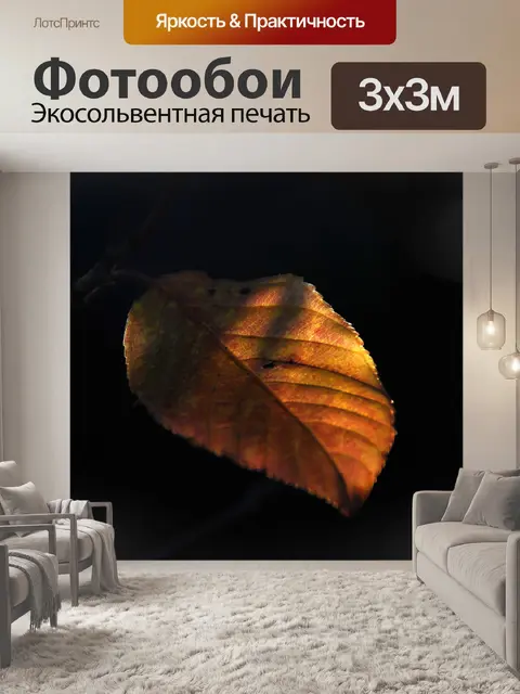 Фотообои Лист