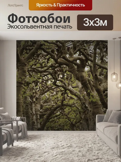 Фотообои Ветви деревьев