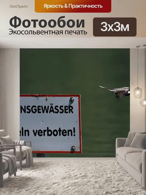 Фотообои Птица