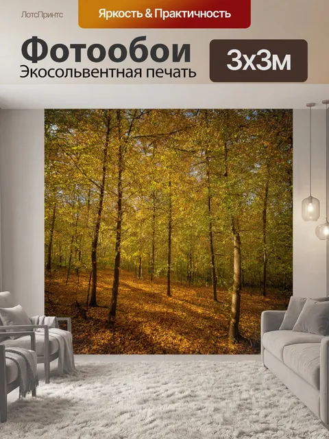 Фотообои лес с высокими каштанами и теплыми оттенками света