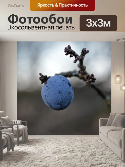 Фотообои Природа