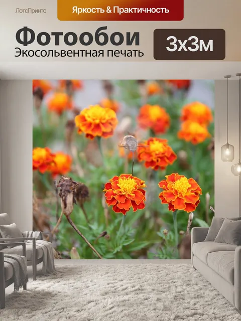 Фотообои Цветок