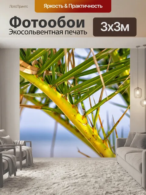 Фотообои Пальмы