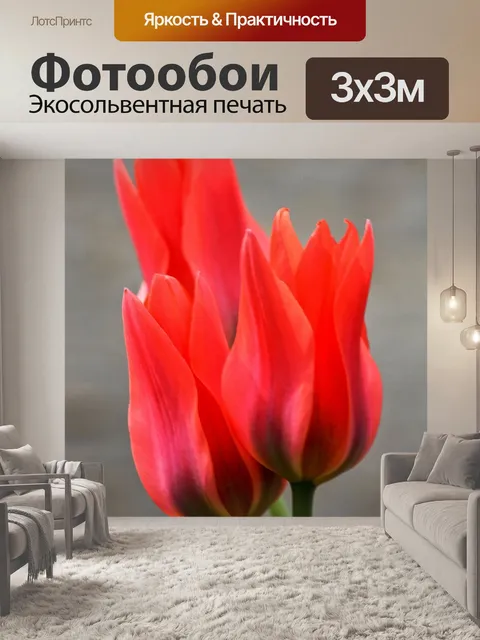 Фотообои Три