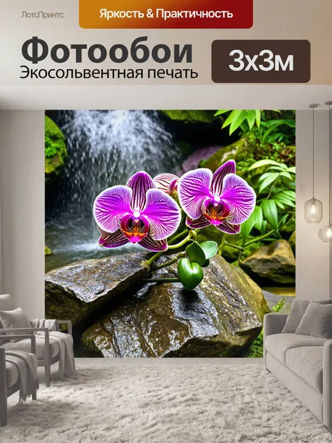 Фотообои орхидеи, растущие на скале возле водопада