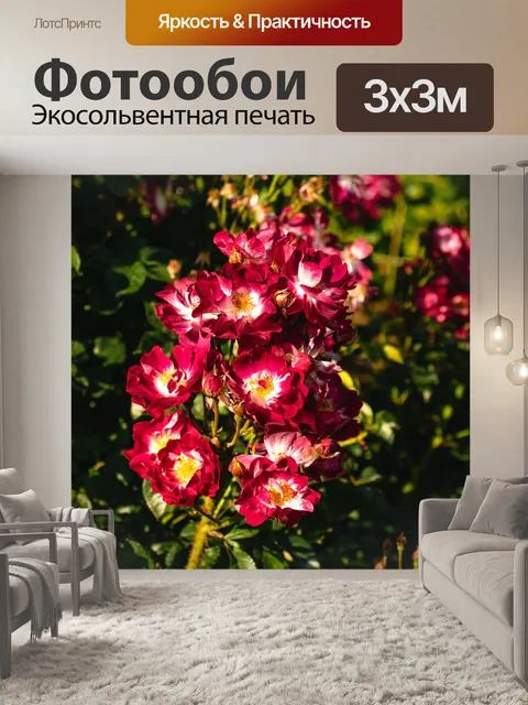 Фотообои Цветы
