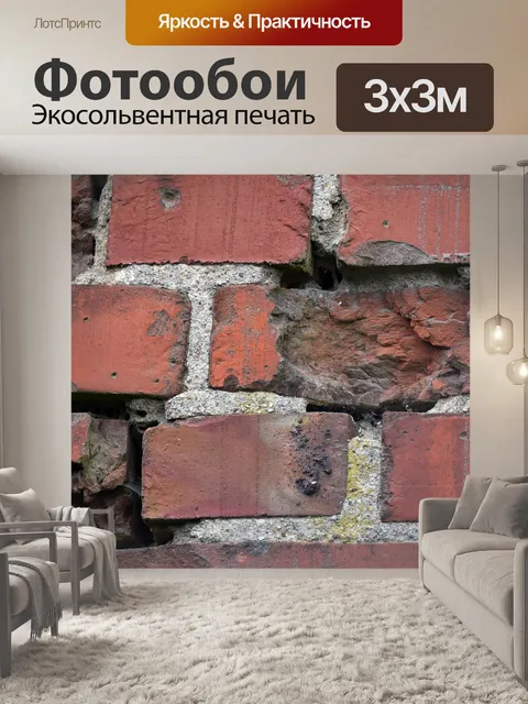 Фотообои Стена