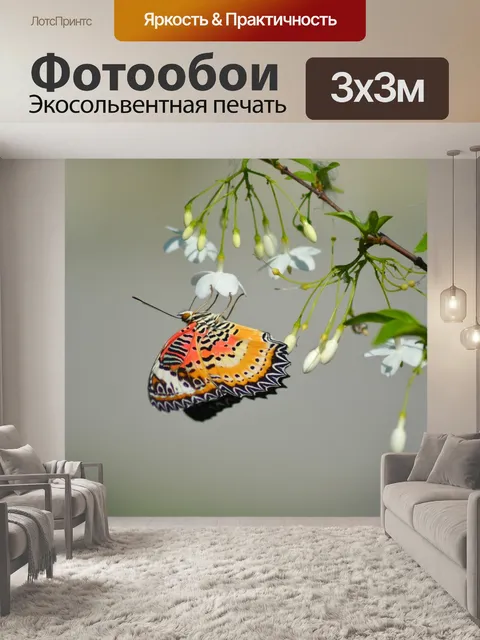 Фотообои Бабочка