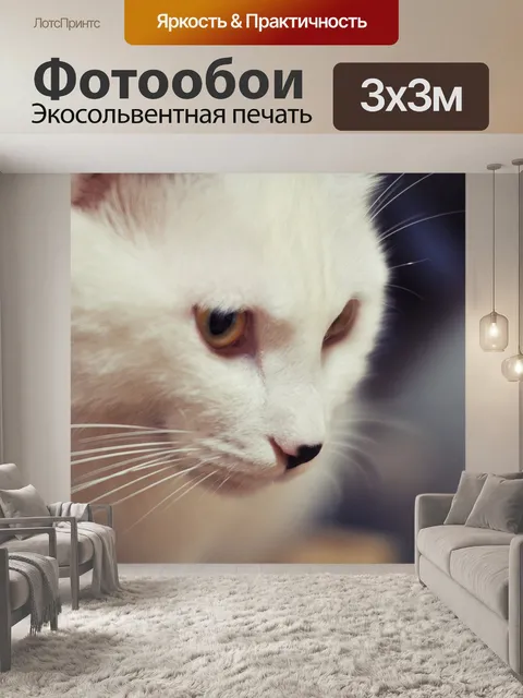 Фотообои Кошка