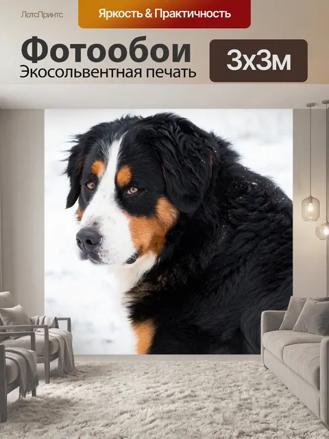 Фотообои Животные