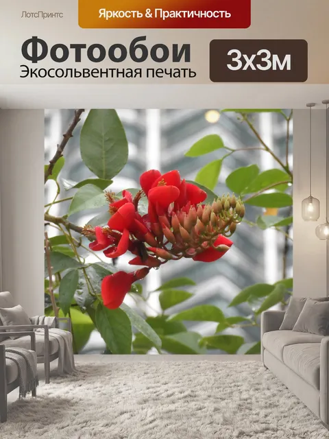Фотообои Цветок