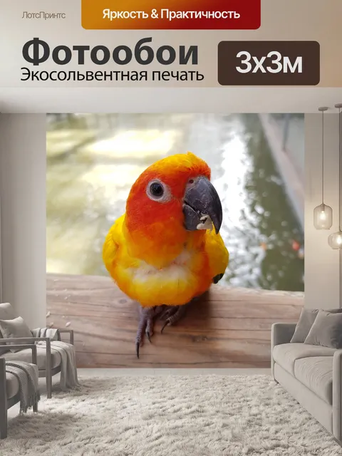 Фотообои Попугай