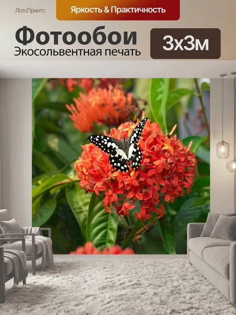 Фотообои Бабочка